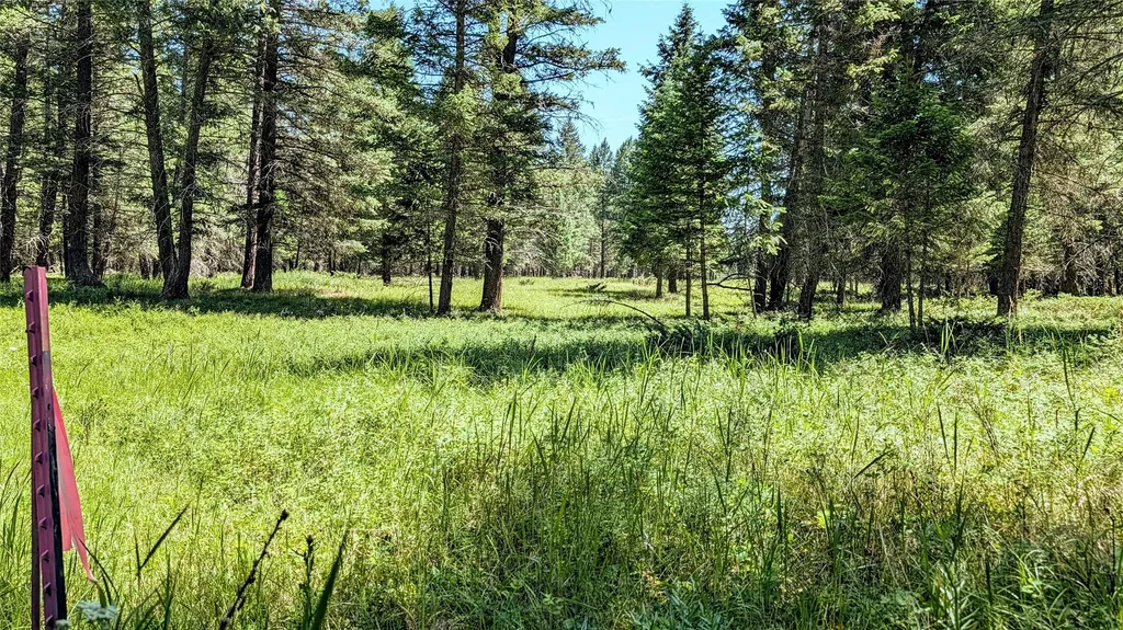 1550 Lost Creek Drive Kalispell MT 59901