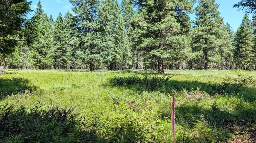 1550 Lost Creek Drive Kalispell MT 59901