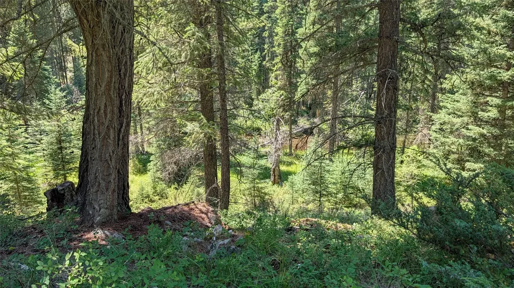 1550 Lost Creek Drive Kalispell MT 59901