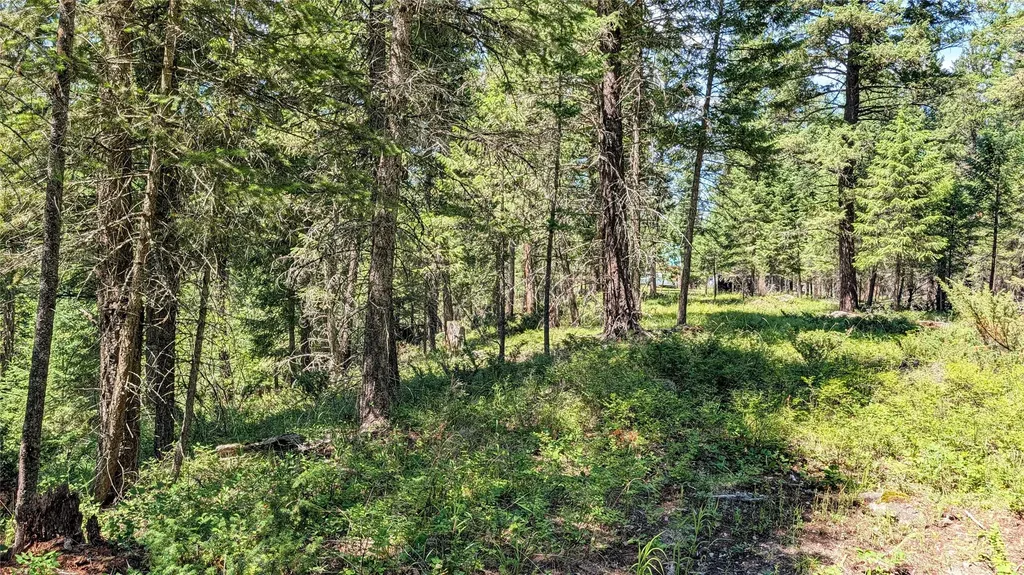 1550 Lost Creek Drive Kalispell MT 59901