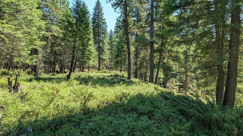1550 Lost Creek Drive Kalispell MT 59901