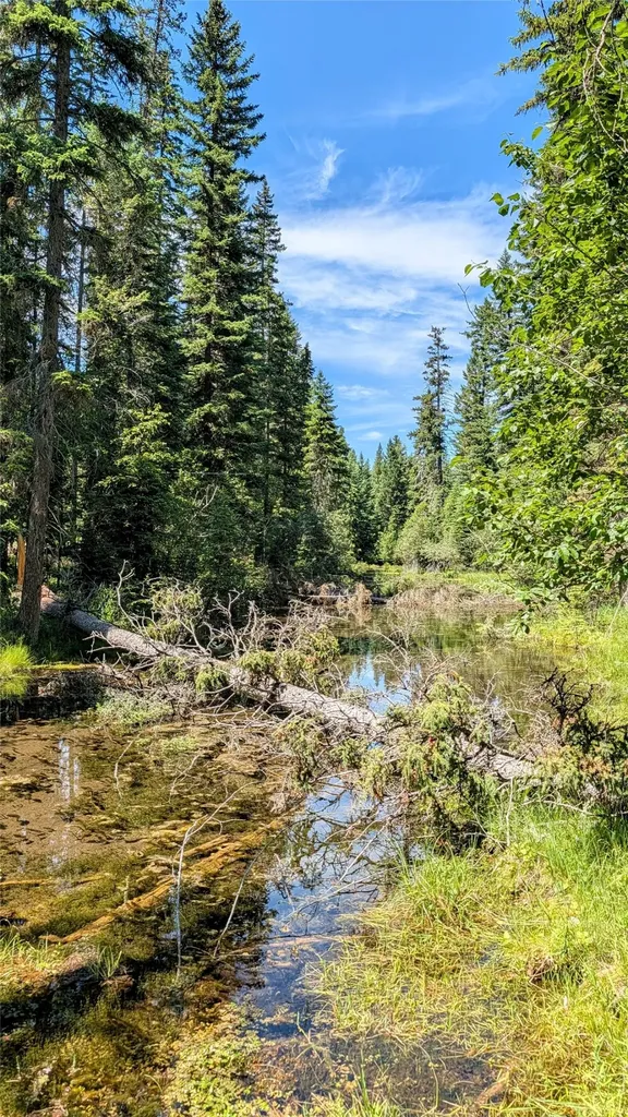 1550 Lost Creek Drive Kalispell MT 59901