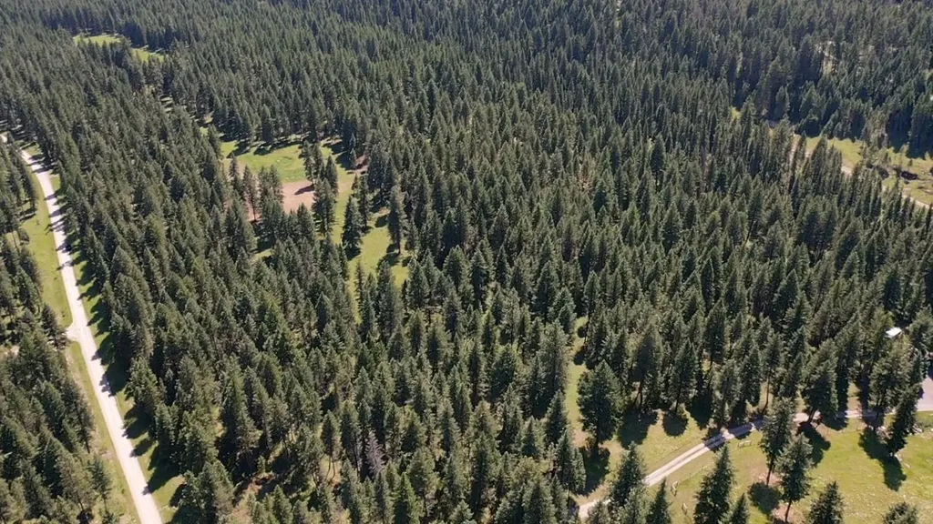 1550 Lost Creek Drive Kalispell MT 59901