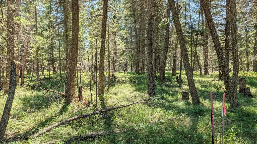 1550 Lost Creek Drive Kalispell MT 59901