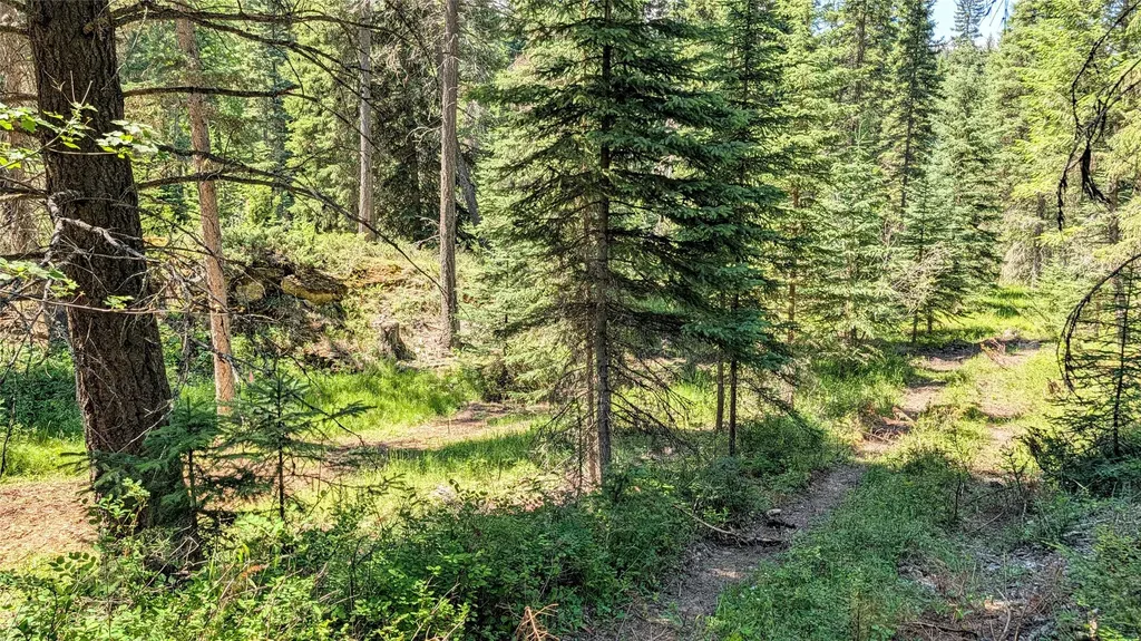 1550 Lost Creek Drive Kalispell MT 59901