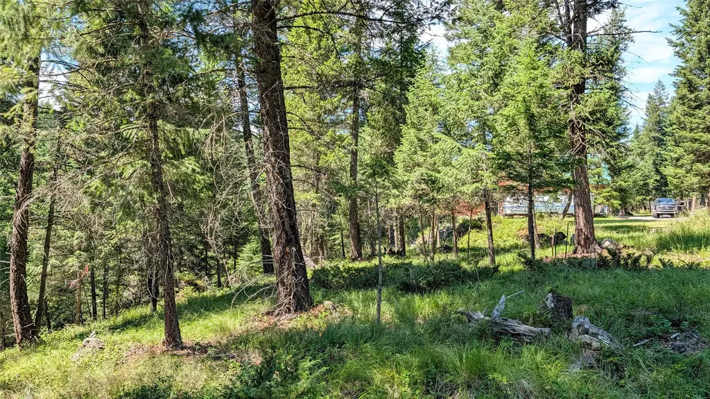 1550 Lost Creek Drive Kalispell MT 59901