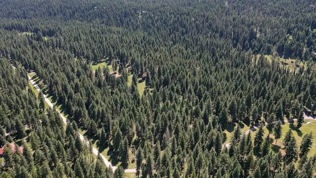 1550 Lost Creek Drive Kalispell MT 59901