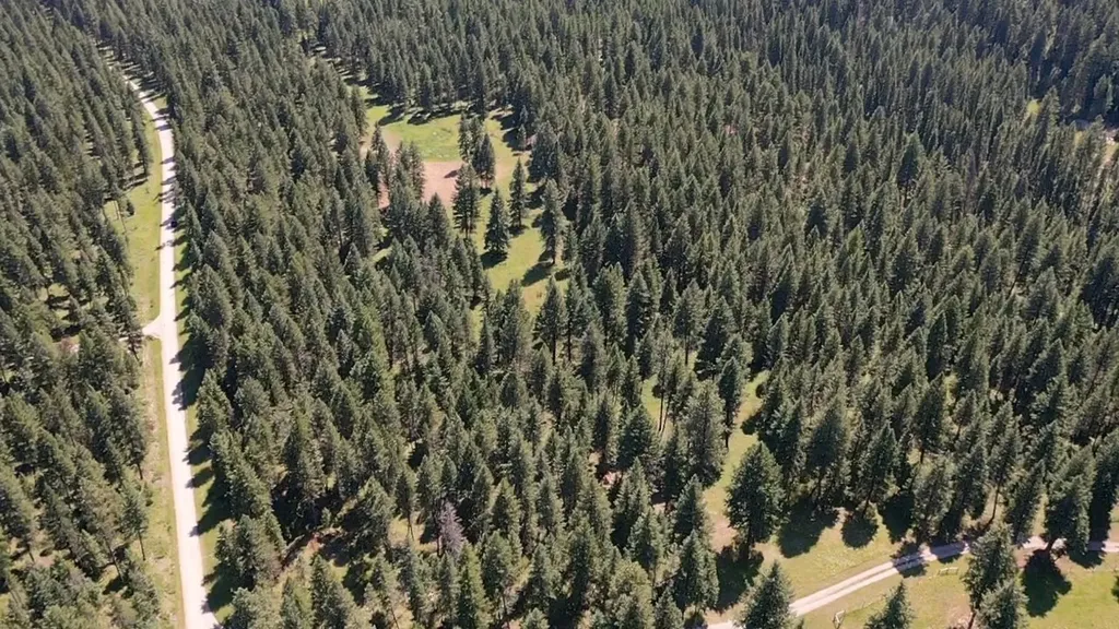 1550 Lost Creek Drive Kalispell MT 59901