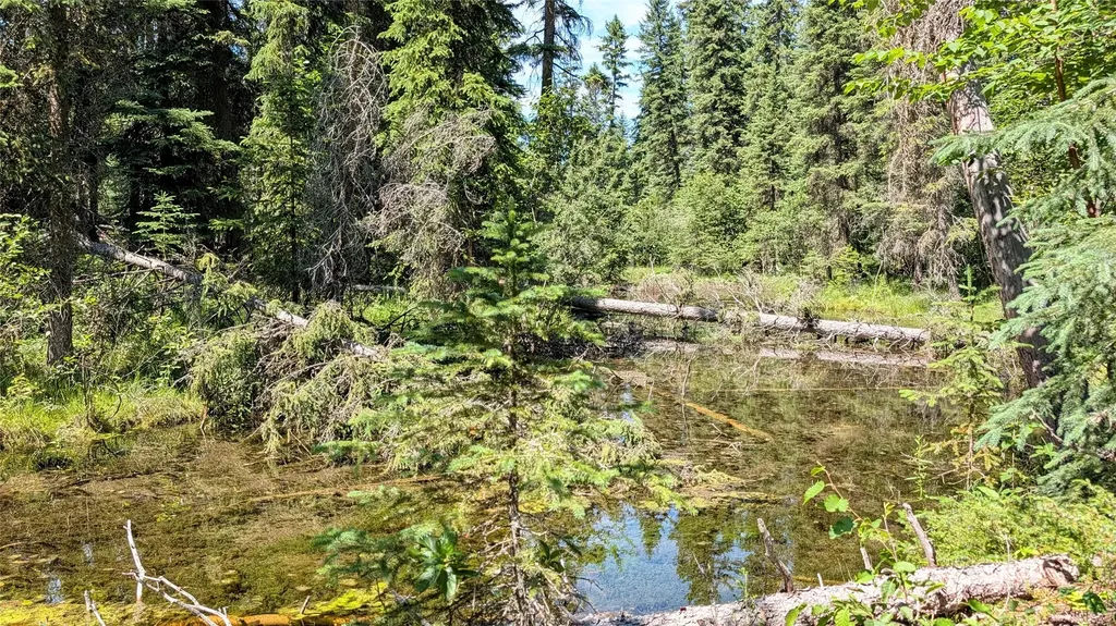 1550 Lost Creek Drive Kalispell MT 59901