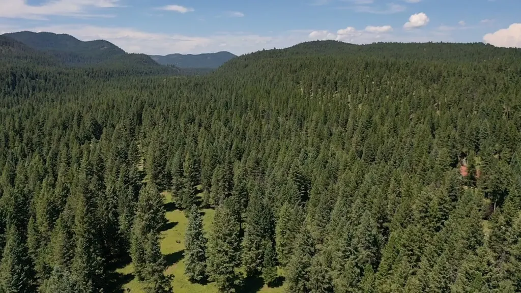 1550 Lost Creek Drive Kalispell MT 59901