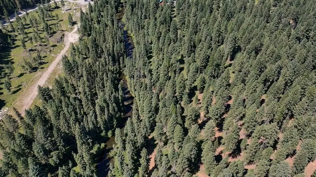 1550 Lost Creek Drive Kalispell MT 59901