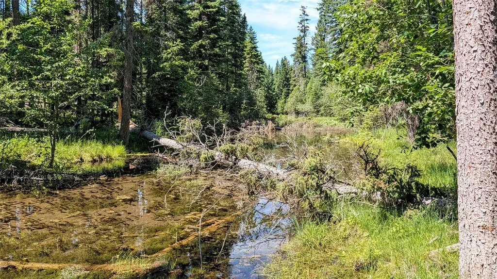 1550 Lost Creek Drive Kalispell MT 59901