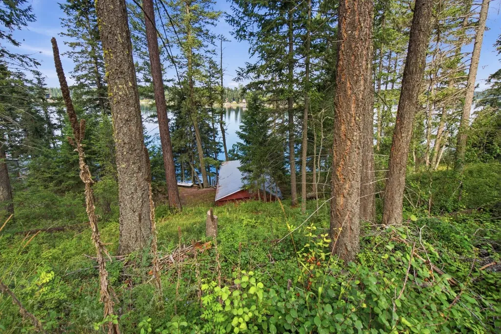1822 Echo Cabin Loop Bigfork MT 59911