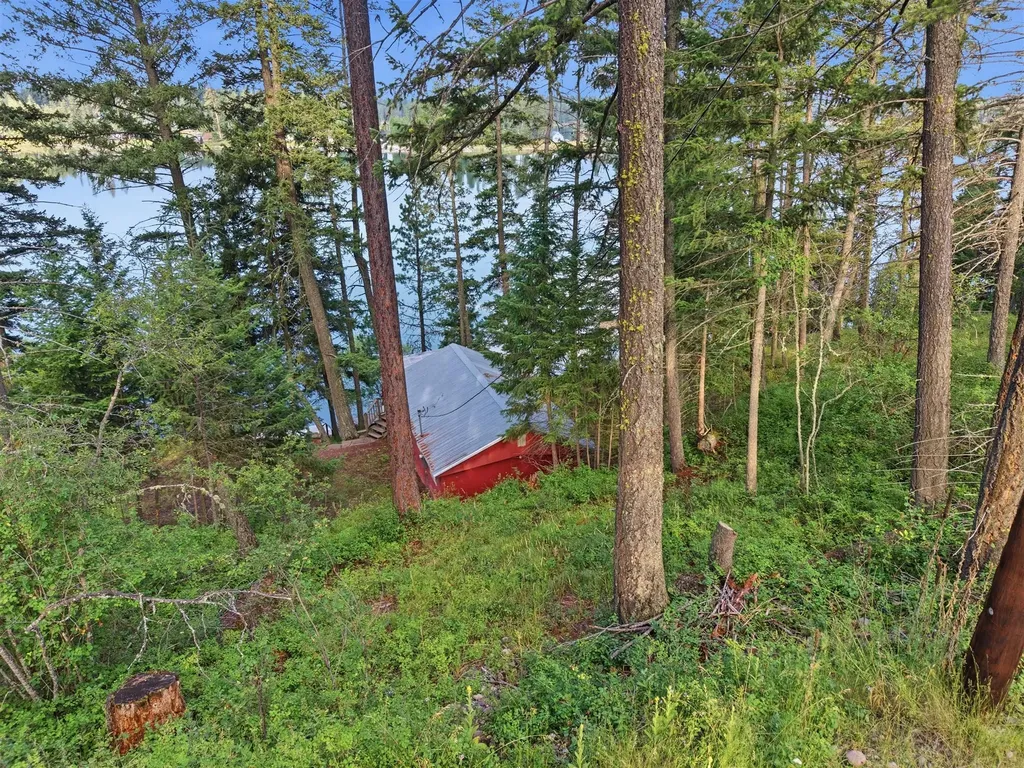 1822 Echo Cabin Loop Bigfork MT 59911