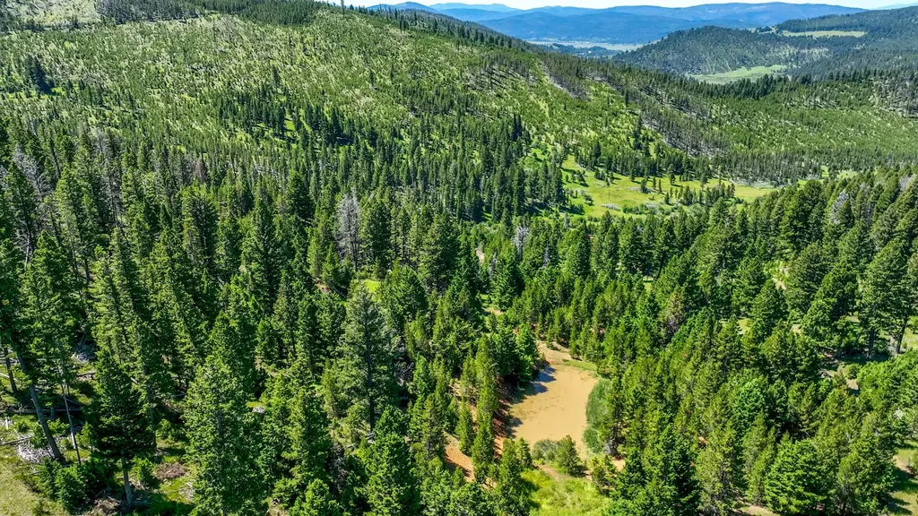 3280 Blossburg Road Elliston MT 59728