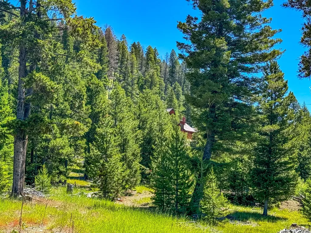 3280 Blossburg Road Elliston MT 59728