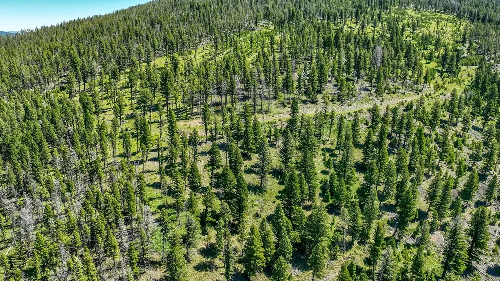 3280 Blossburg Road Elliston MT 59728