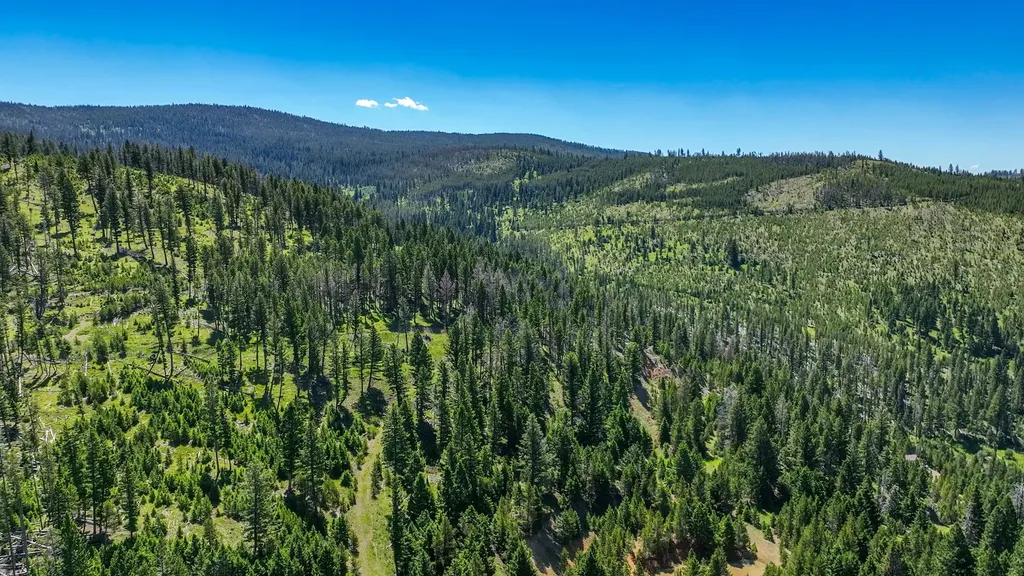 3280 Blossburg Road Elliston MT 59728