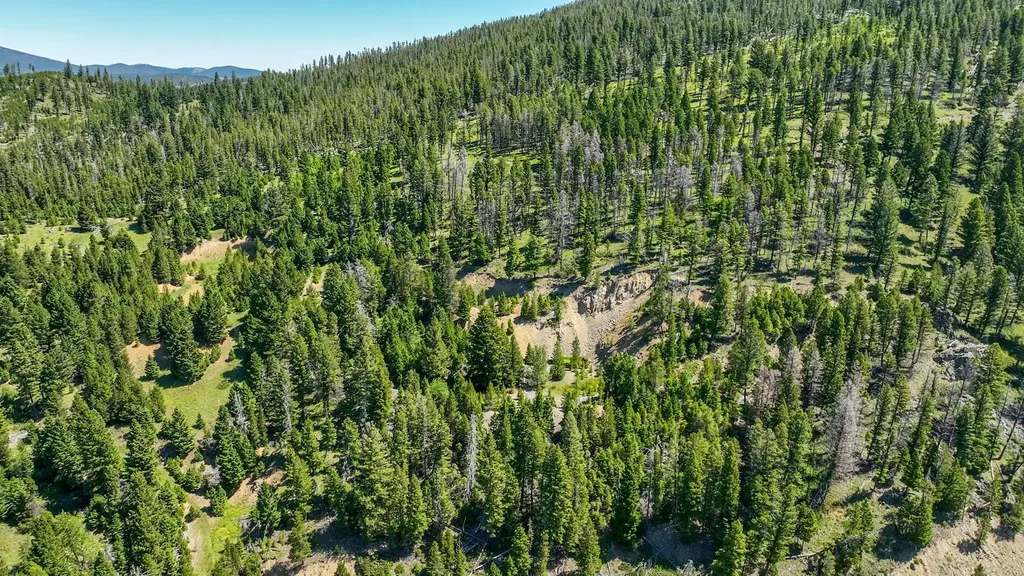 3280 Blossburg Road Elliston MT 59728