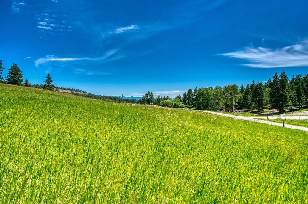 Nhn Raven Hill Road Kalispell MT 59901