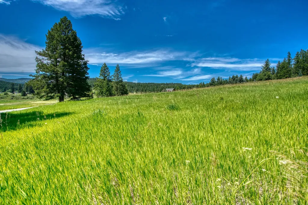 Nhn Raven Hill Road Kalispell MT 59901