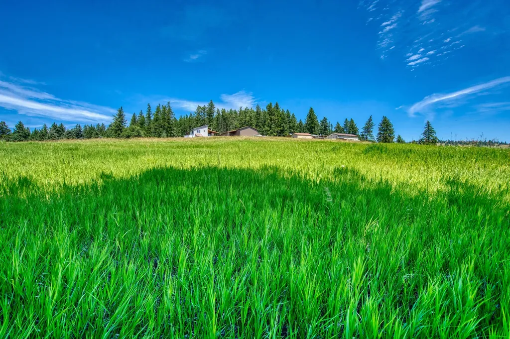 Nhn Raven Hill Road Kalispell MT 59901