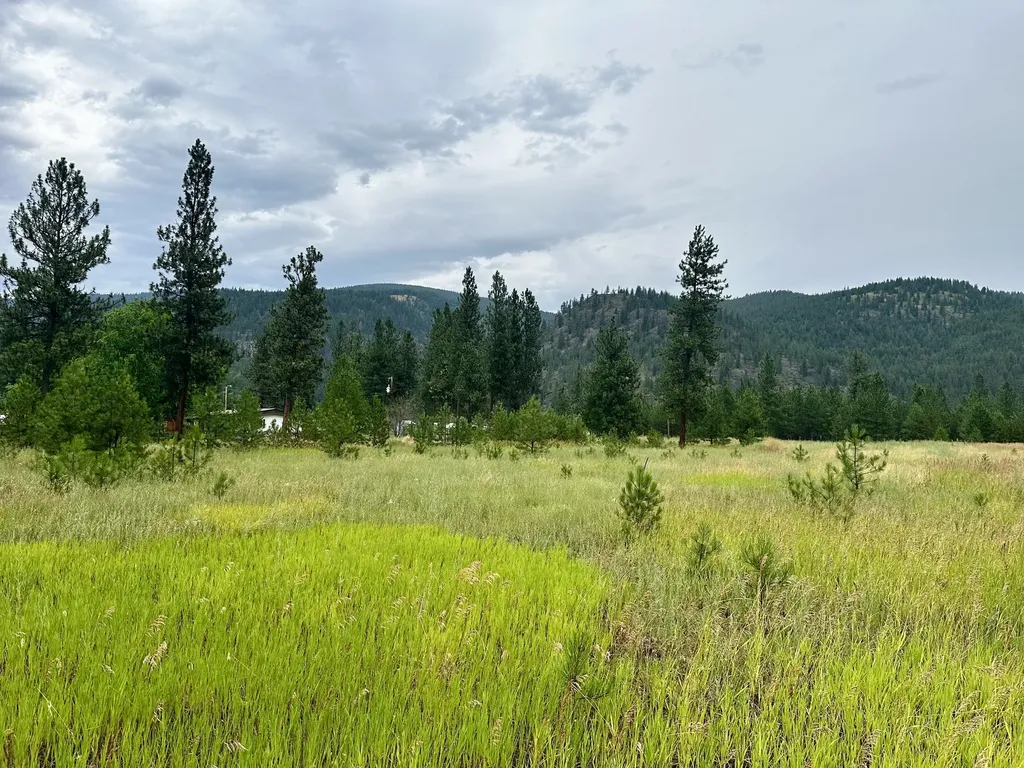 889 Riverbend Road Superior MT 59872