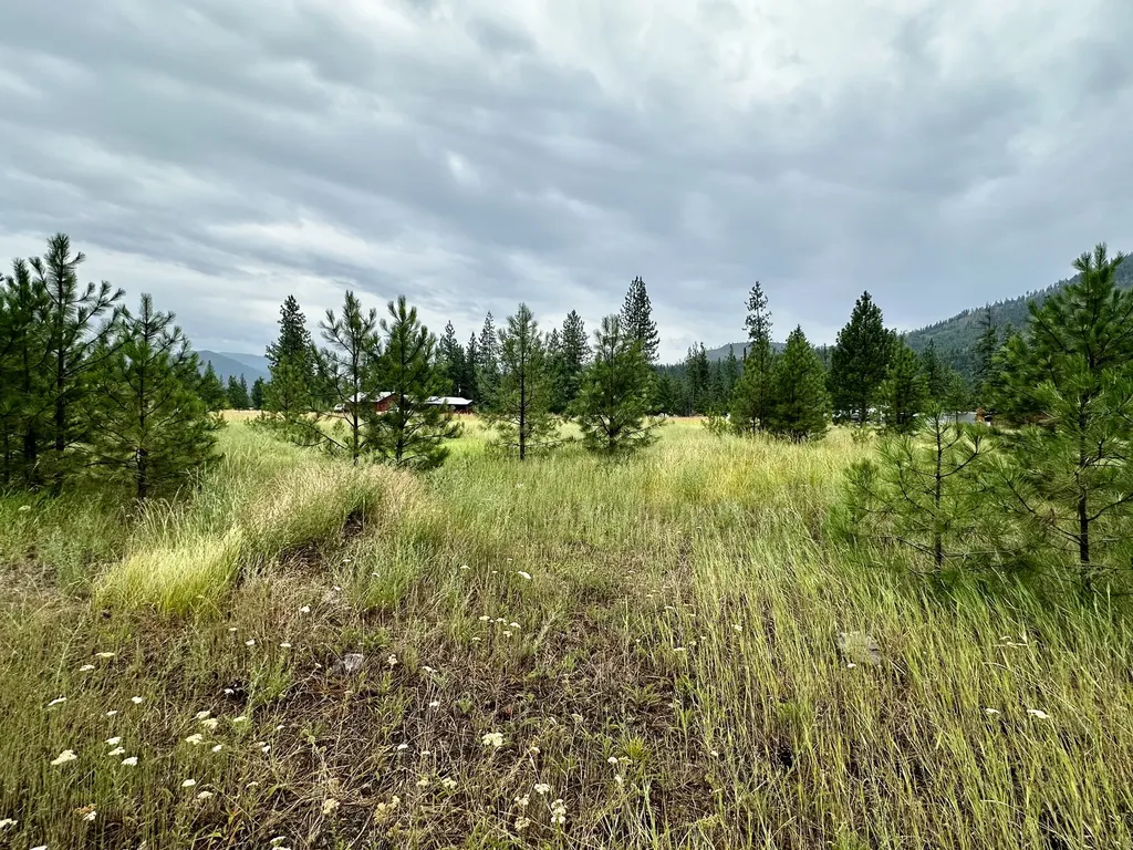 889 Riverbend Road Superior MT 59872