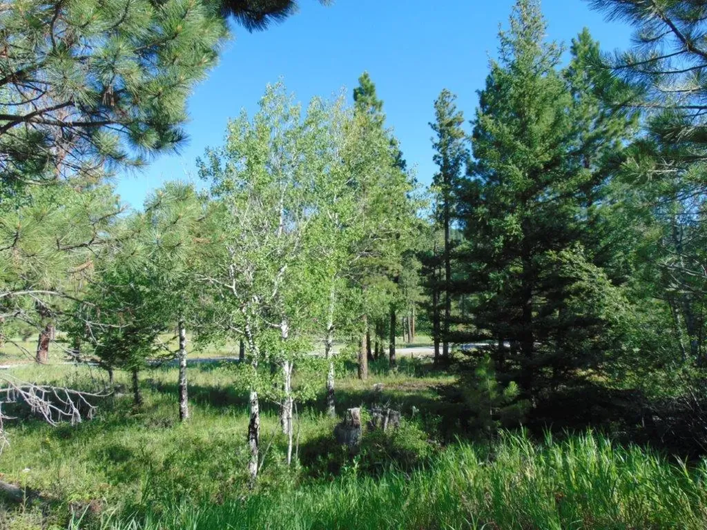 4615 Abe Lincoln Road Lincoln MT 59639