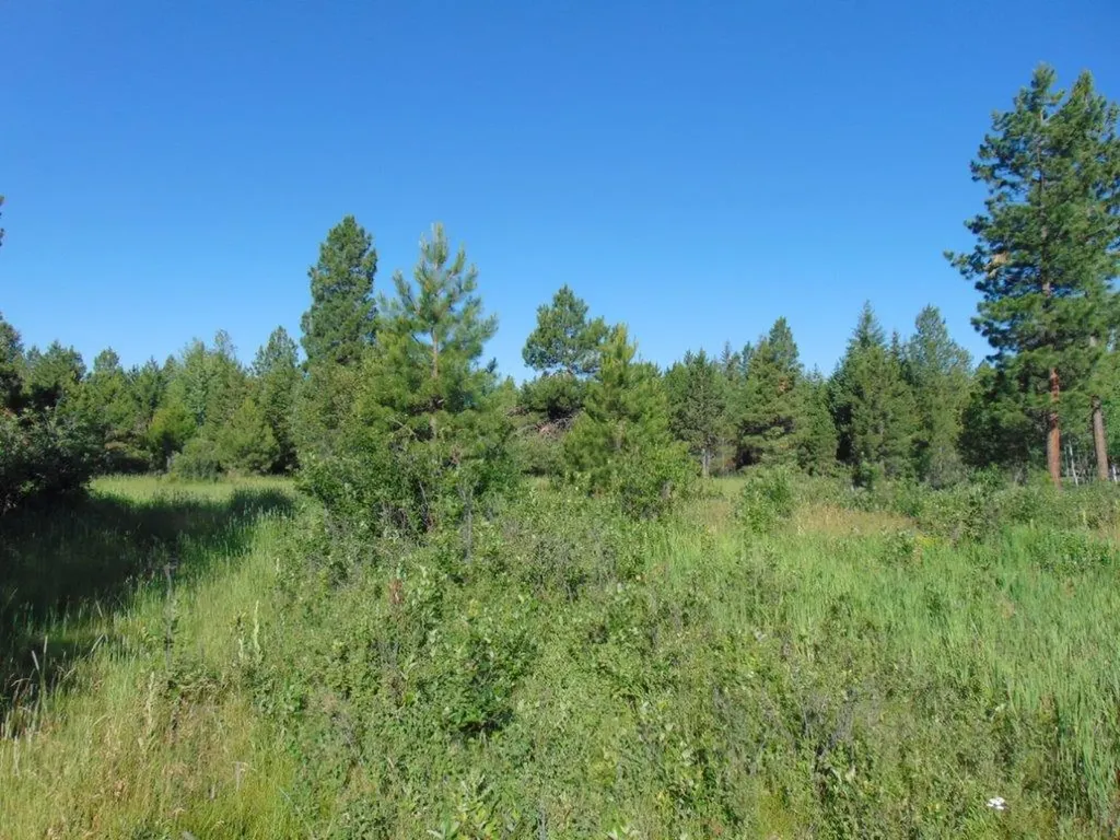 4615 Abe Lincoln Road Lincoln MT 59639