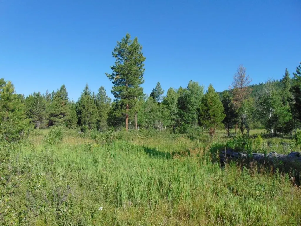 4615 Abe Lincoln Road Lincoln MT 59639