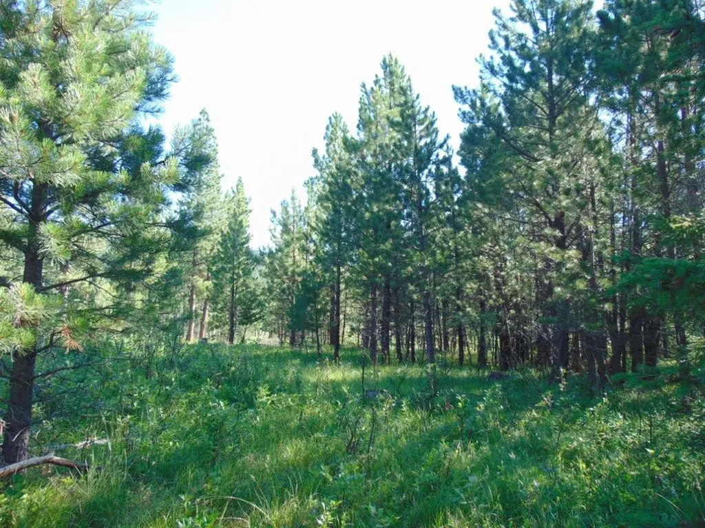 4615 Abe Lincoln Road Lincoln MT 59639