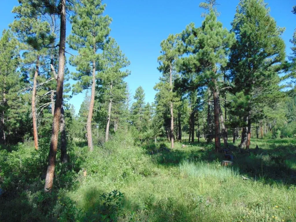 4615 Abe Lincoln Road Lincoln MT 59639