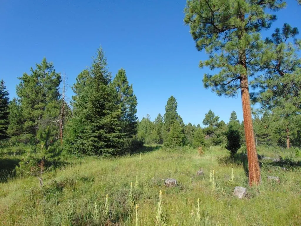 4615 Abe Lincoln Road Lincoln MT 59639