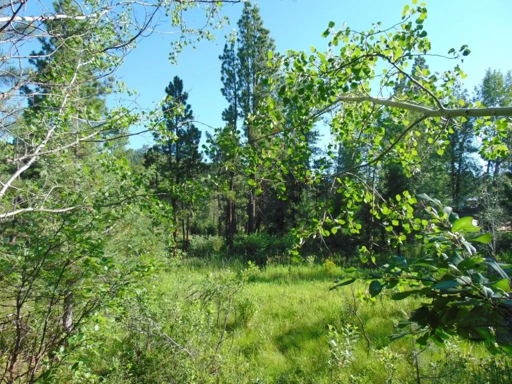 4615 Abe Lincoln Road Lincoln MT 59639