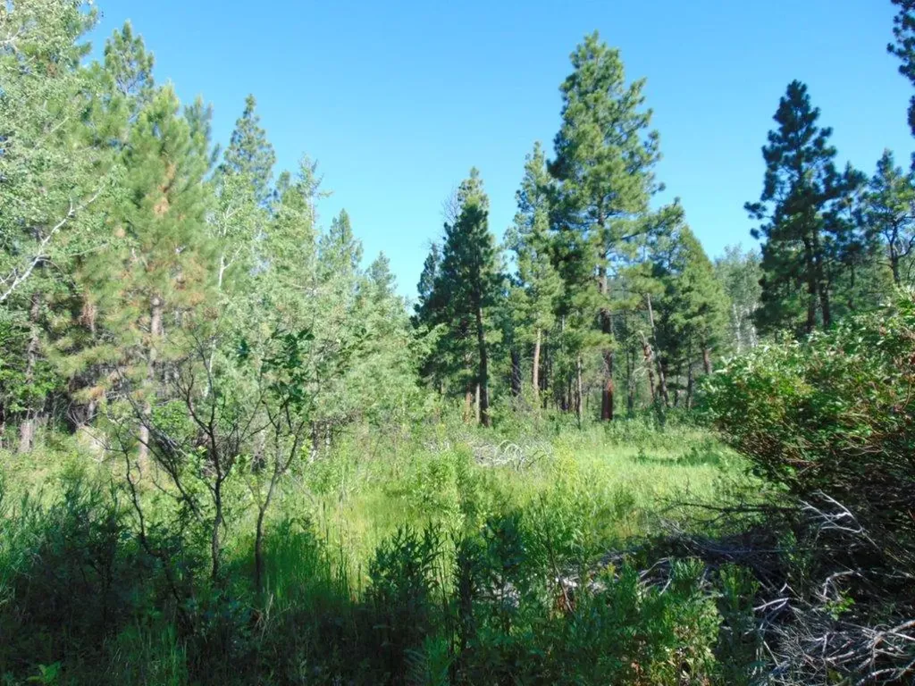 4615 Abe Lincoln Road Lincoln MT 59639