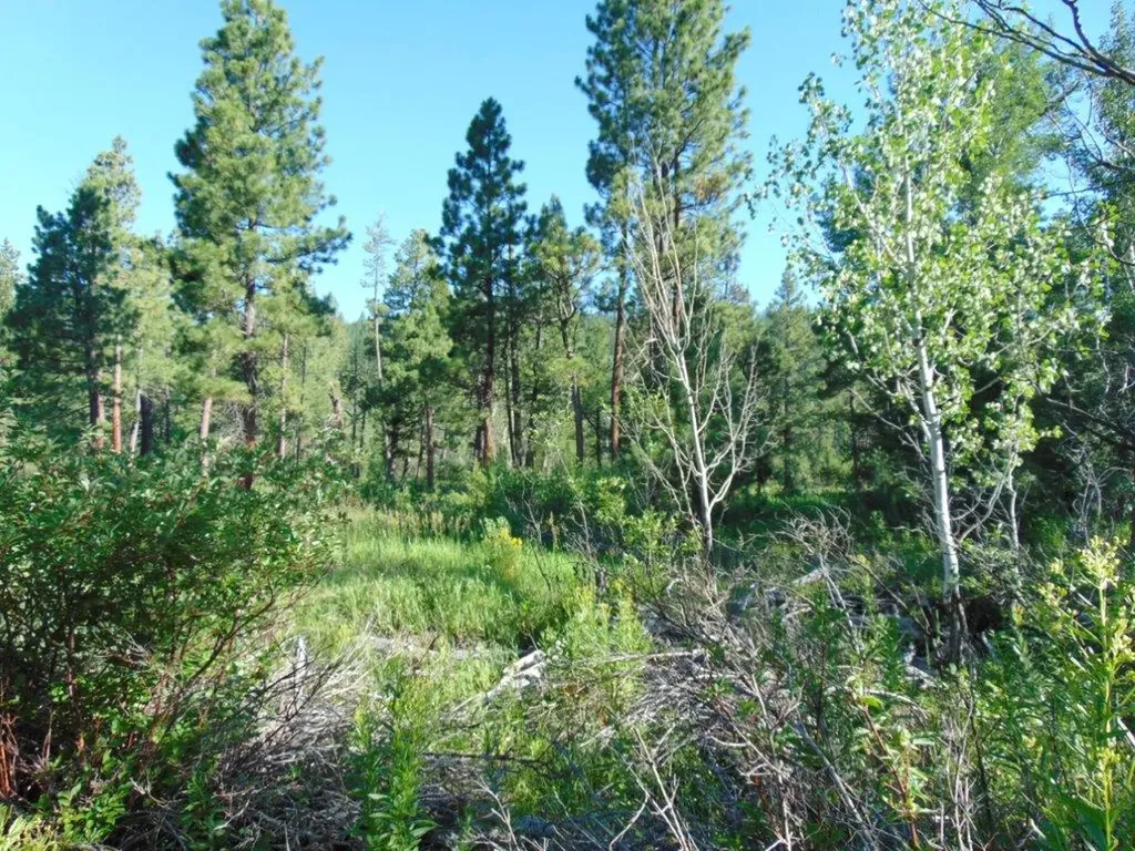 4615 Abe Lincoln Road Lincoln MT 59639
