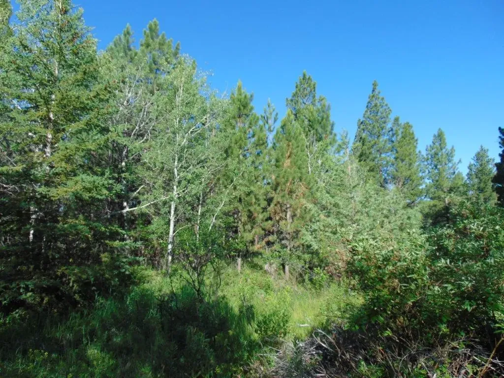 4615 Abe Lincoln Road Lincoln MT 59639