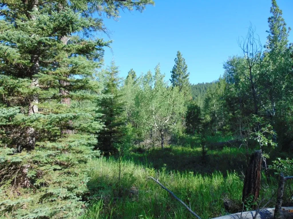 4615 Abe Lincoln Road Lincoln MT 59639