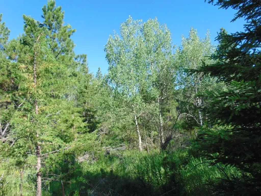 4615 Abe Lincoln Road Lincoln MT 59639