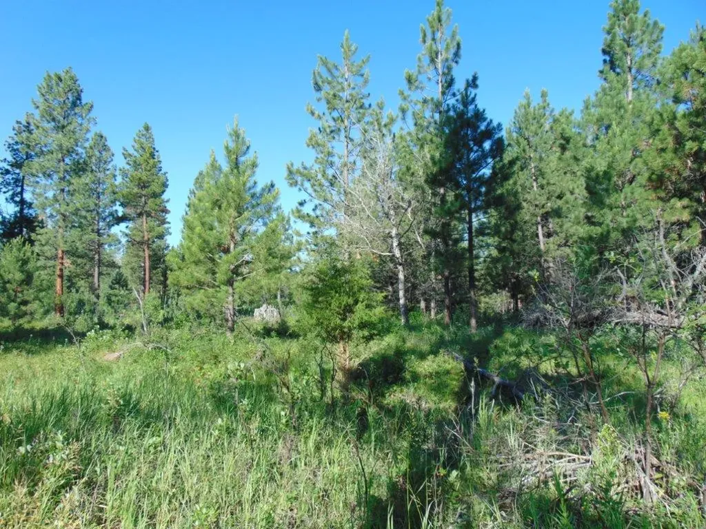 4615 Abe Lincoln Road Lincoln MT 59639