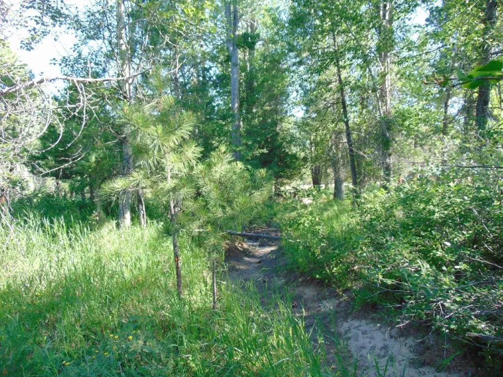4615 Abe Lincoln Road Lincoln MT 59639