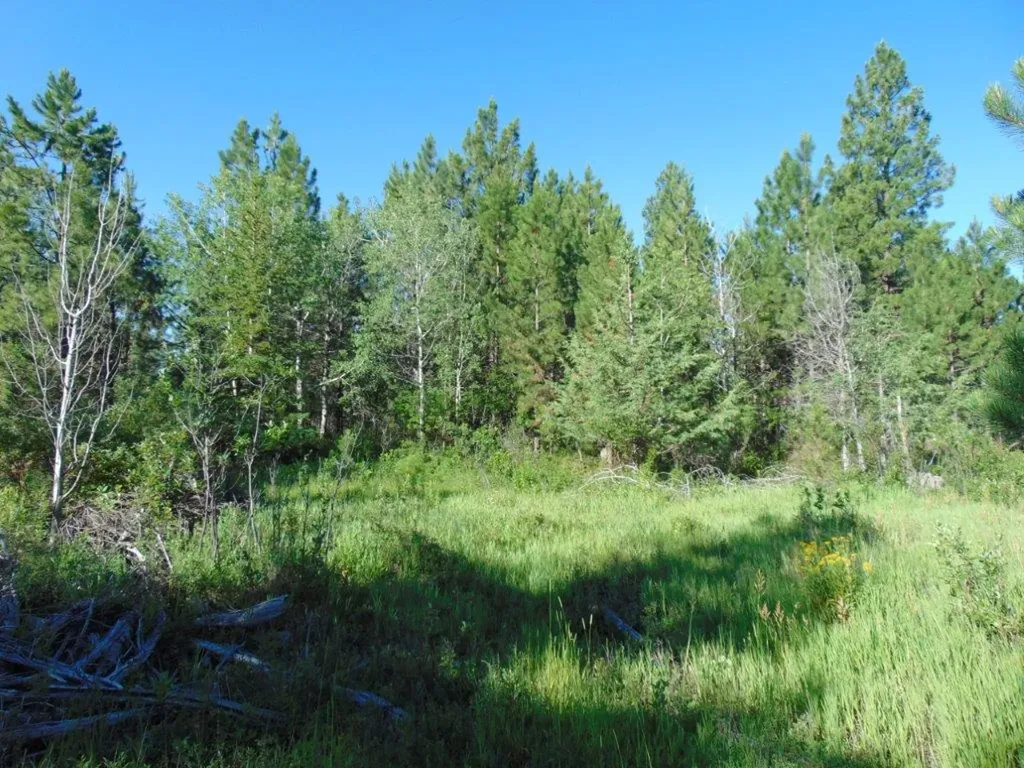 4615 Abe Lincoln Road Lincoln MT 59639