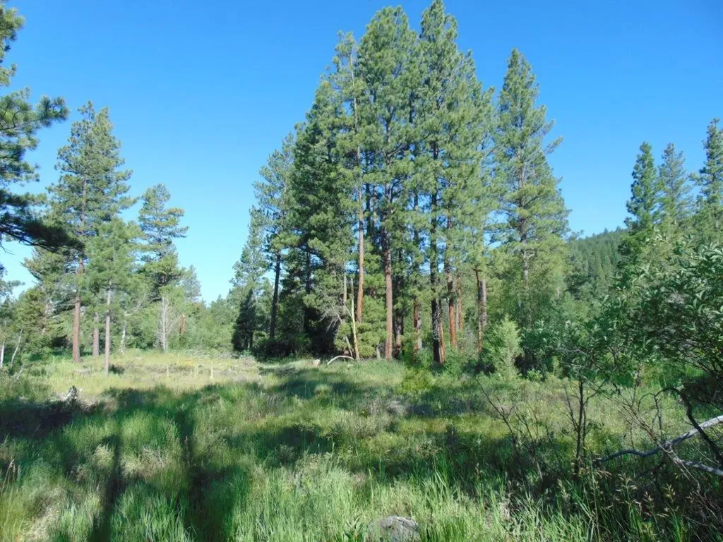4615 Abe Lincoln Road Lincoln MT 59639