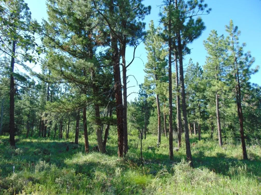 4615 Abe Lincoln Road Lincoln MT 59639