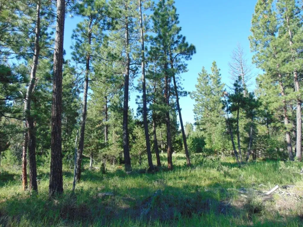 4615 Abe Lincoln Road Lincoln MT 59639