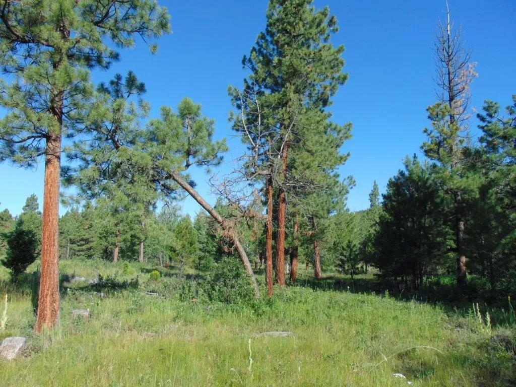 4615 Abe Lincoln Road Lincoln MT 59639