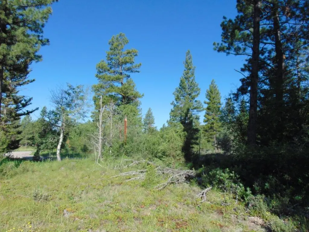 4615 Abe Lincoln Road Lincoln MT 59639