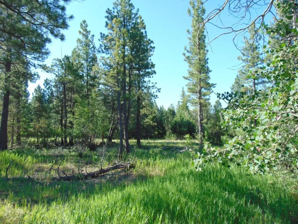 4615 Abe Lincoln Road Lincoln MT 59639