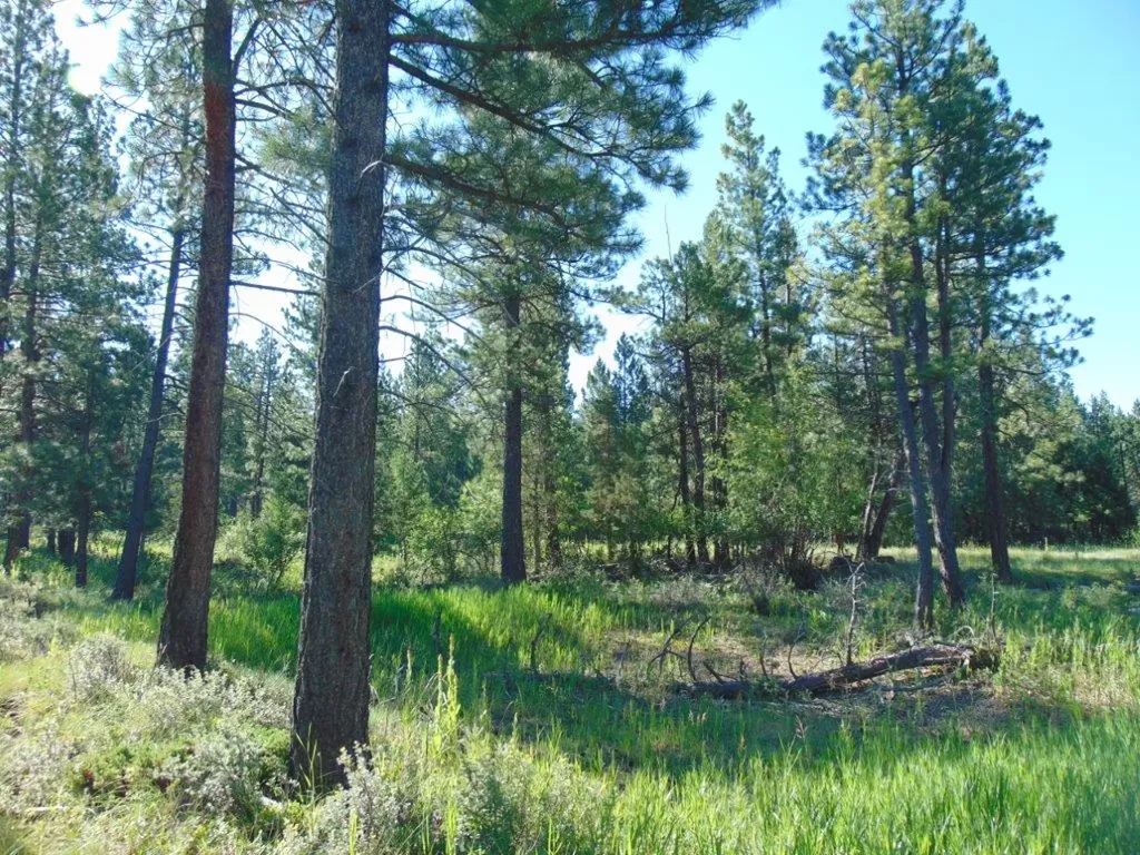 4615 Abe Lincoln Road Lincoln MT 59639